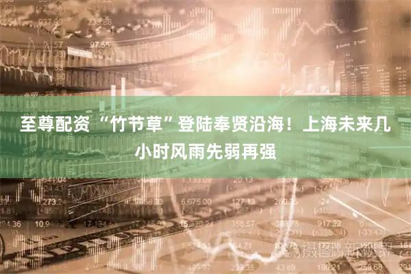 至尊配资 “竹节草”登陆奉贤沿海！上海未来几小时风雨先弱再强