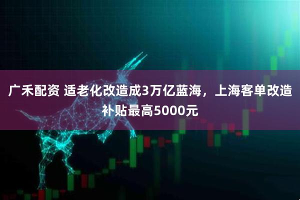广禾配资 适老化改造成3万亿蓝海，上海客单改造补贴最高5000元