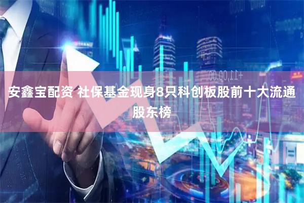 安鑫宝配资 社保基金现身8只科创板股前十大流通股东榜