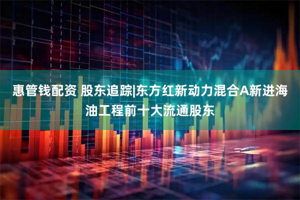 惠管钱配资 股东追踪|东方红新动力混合A新进海油工程前十大流通股东